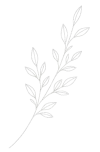Leaf symbolizing personal growth, renewal, and mental health counseling