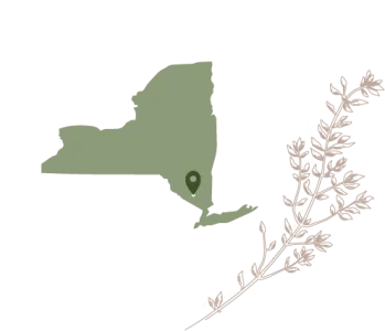 Licensed New York virtual mental health counselor icon