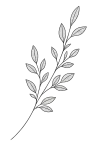 Leaf symbolizing personal growth, renewal, and mental health counseling